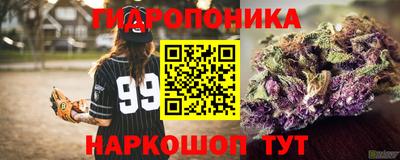 ешки Абакан