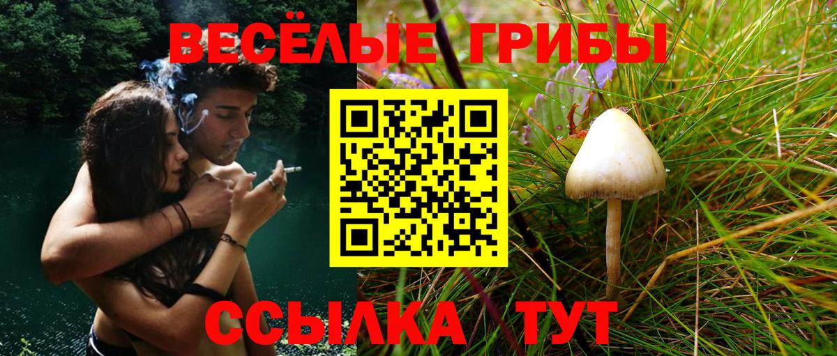 Галлюциногенные грибы мухоморы  Вход с VPN  где купить наркотик  Абинск  Галлюциногенные грибы GOLDEN TEACHER 